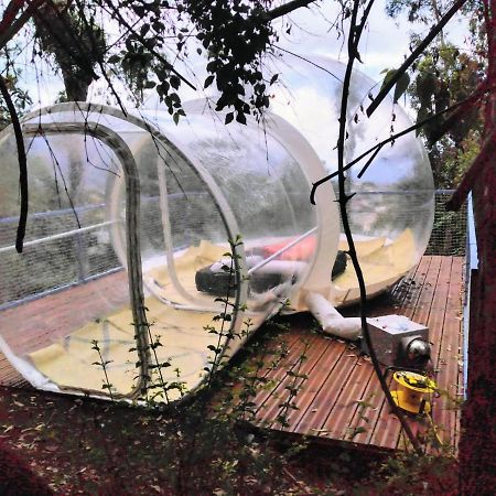 Dans Ma Bulle By C Cibeaulaos Cilaos Exterior photo