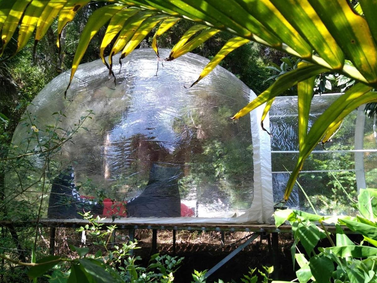 Dans Ma Bulle By C Cibeaulaos Cilaos Exterior photo