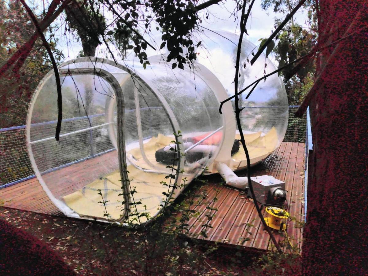 Dans Ma Bulle By C Cibeaulaos Cilaos Exterior photo